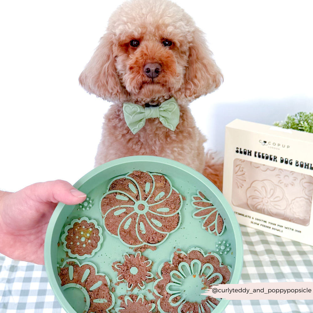 Silicone Slow Feed Dog Bowl - Sage Flowers