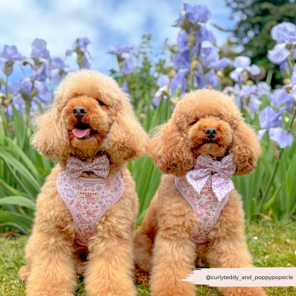 Princess Dino Sailor Bow Tie