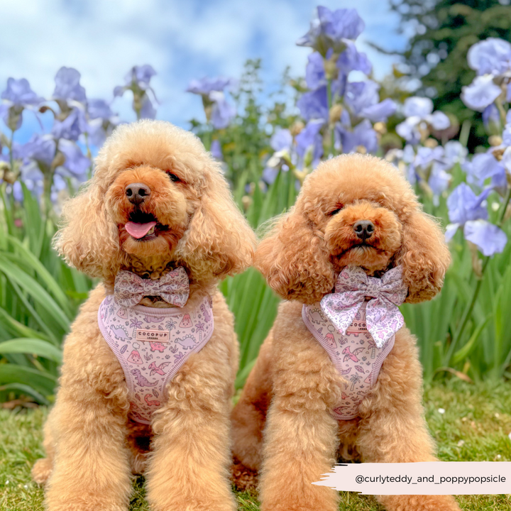 Princess Dino Sailor Bow Tie