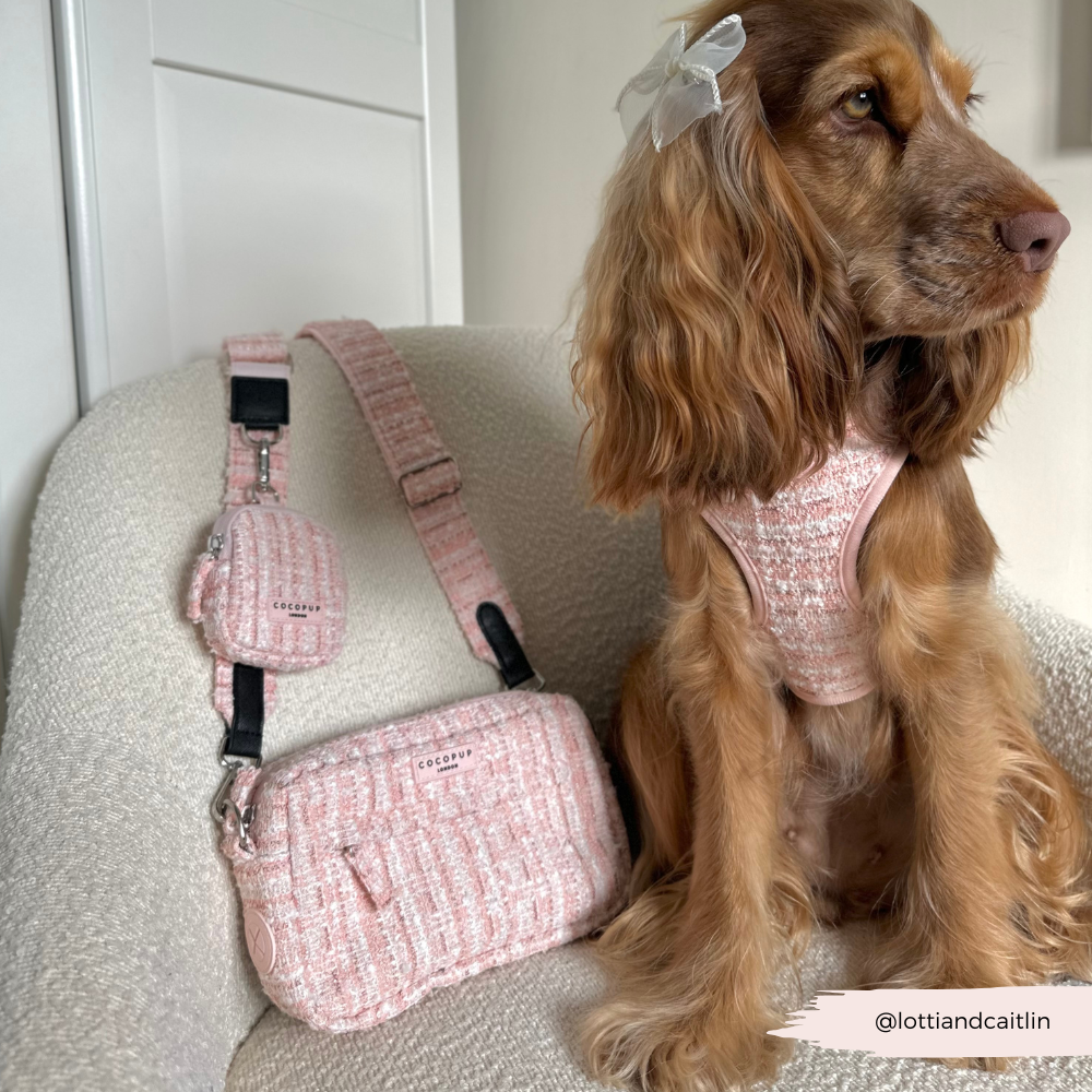 Treat Pouch - Pink Textured Tweed