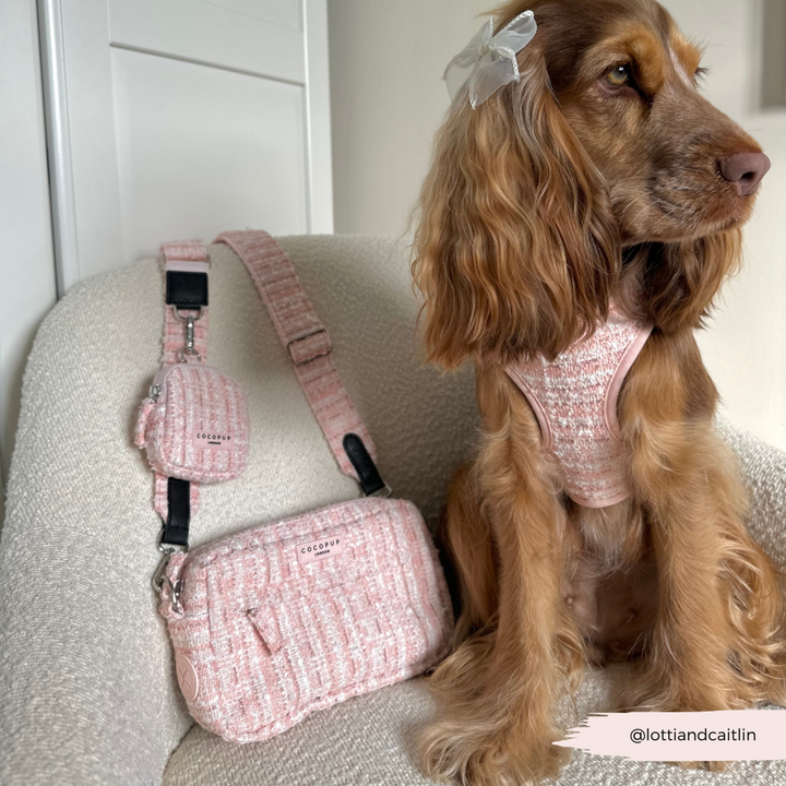 Treat Pouch - Pink Textured Tweed