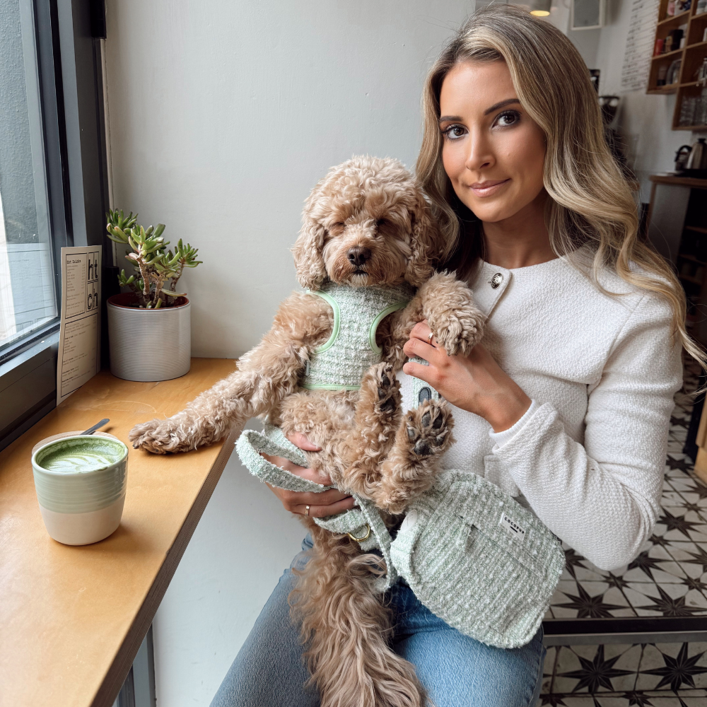 Matcha Textured Tweed Dog Walking Bag Bundle - Matcha Textured Tweed