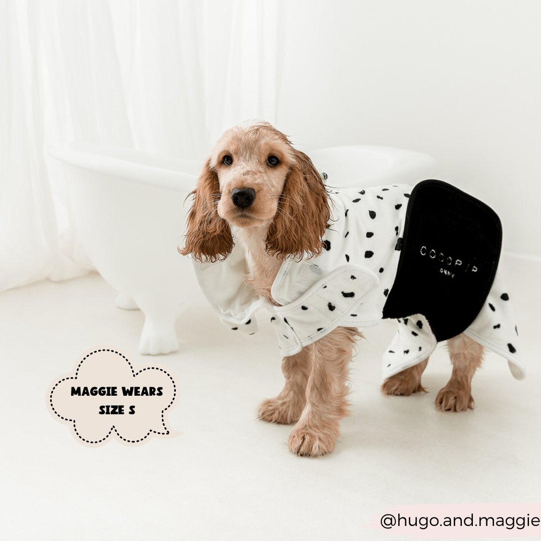 Dalmatian Drying Robe