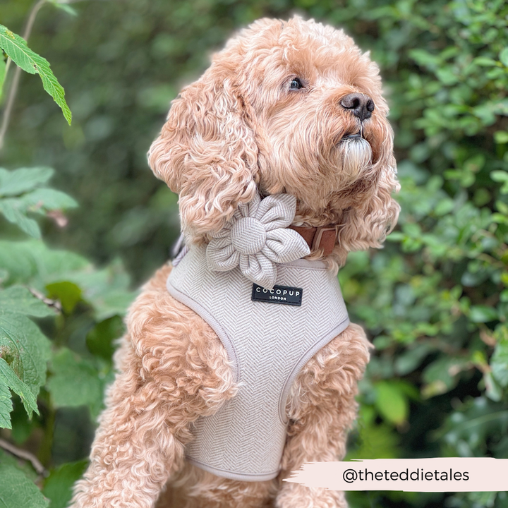 Brown Tweed Collar Flower