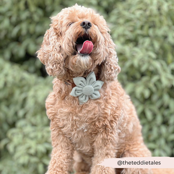 Sage Tweed Collar Flower