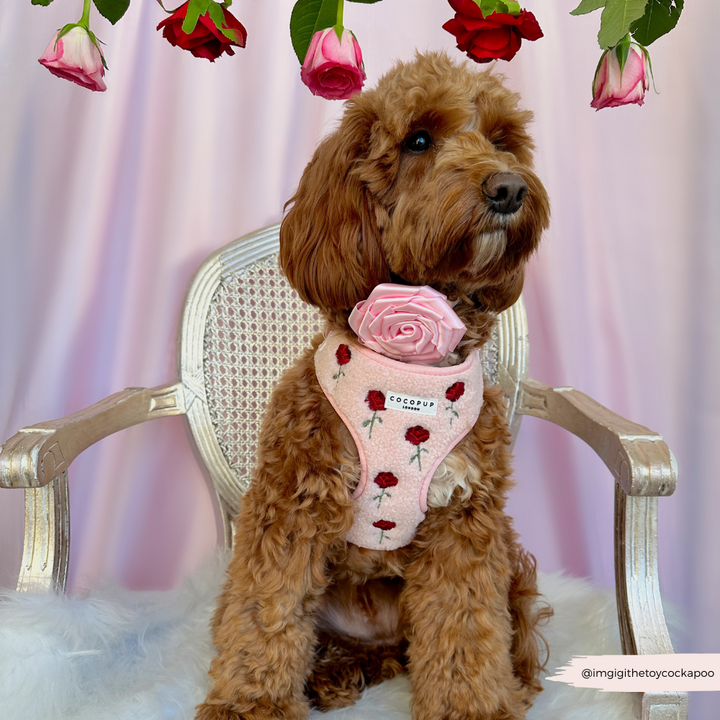 Roses Embroidered Teddy Adjustable Neck Harness