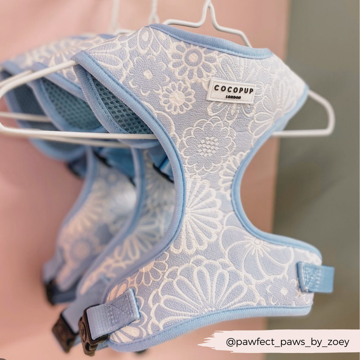 Luxe Adjustable Neck Harness - Baby Blue Flower