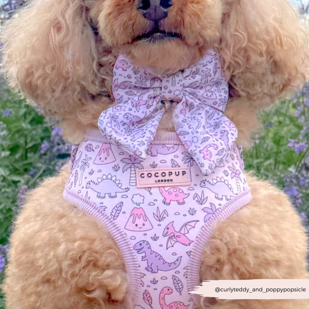 Princess Dino Sailor Bow Tie