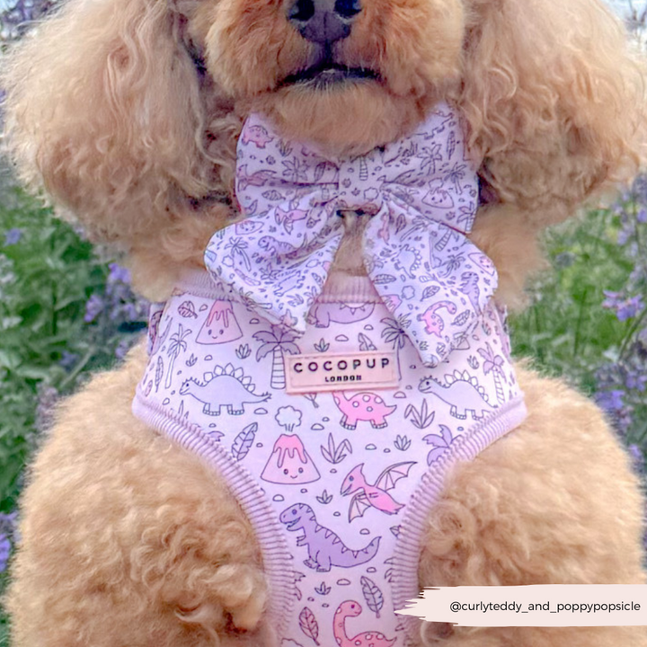 Princess Dino Sailor Bow Tie