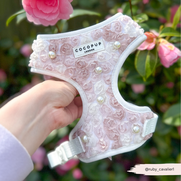 Pearly Pup Adjustable Neck HARNESS