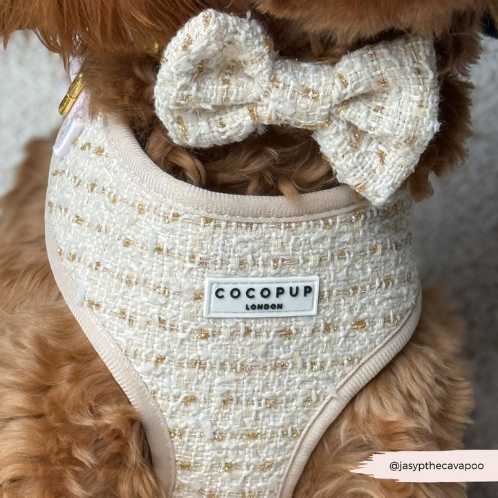 Vanilla Textured Tweed Bow Tie
