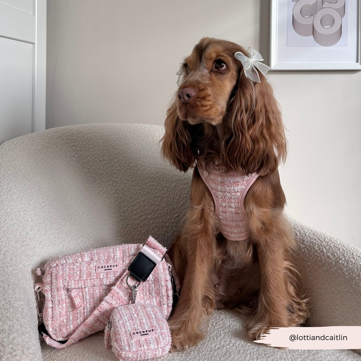 Treat Pouch - Pink Textured Tweed