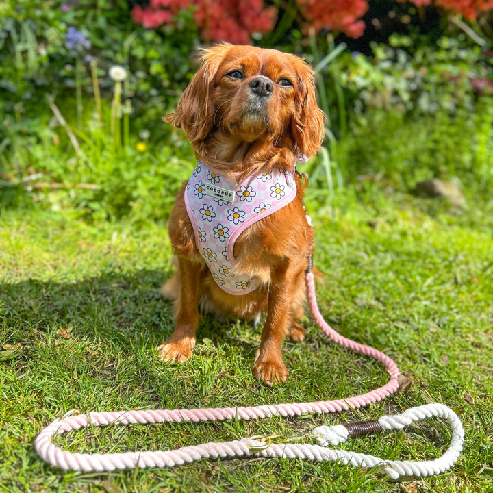 Double Ended Rope Lead - Baby Pink