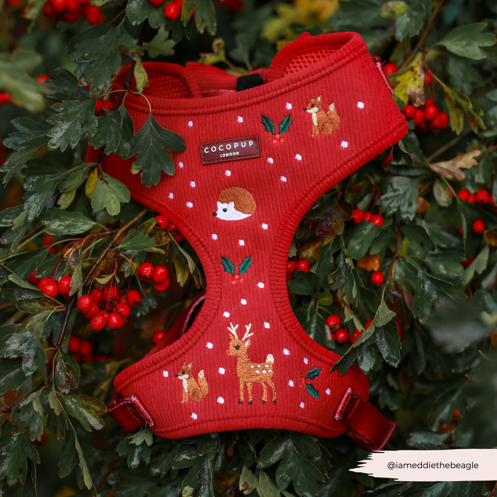 Holly Jolly Trails Adjustable Neck Harness, Lead & Collar Bundle