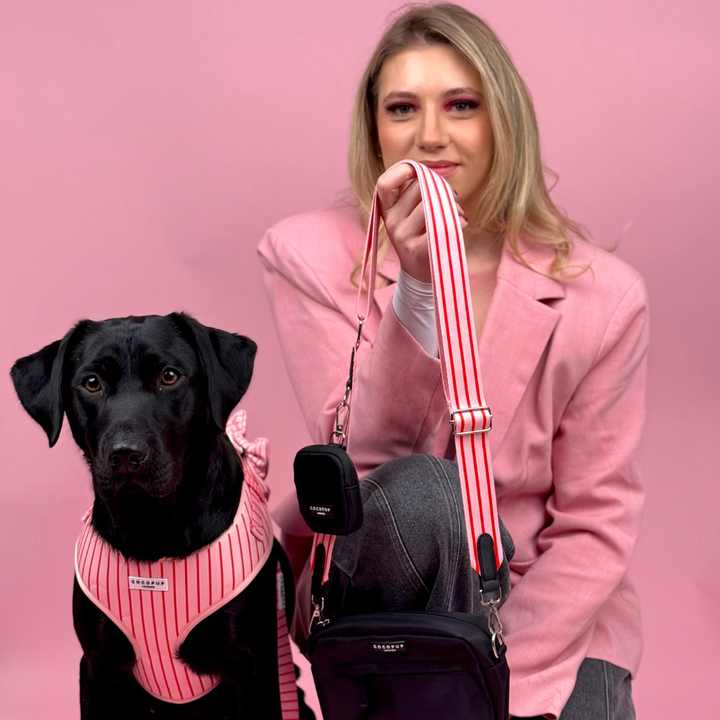 Dog Walking Bag Bundle - Candy Stripe