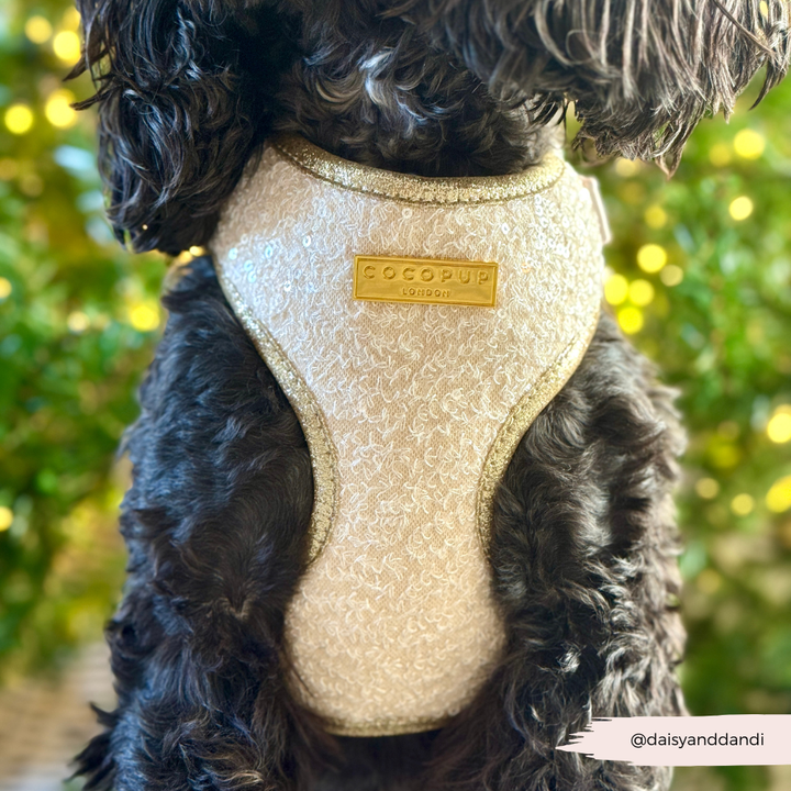 Limited Edition Sparkle Season Gold Adjustable Neck HARNESS