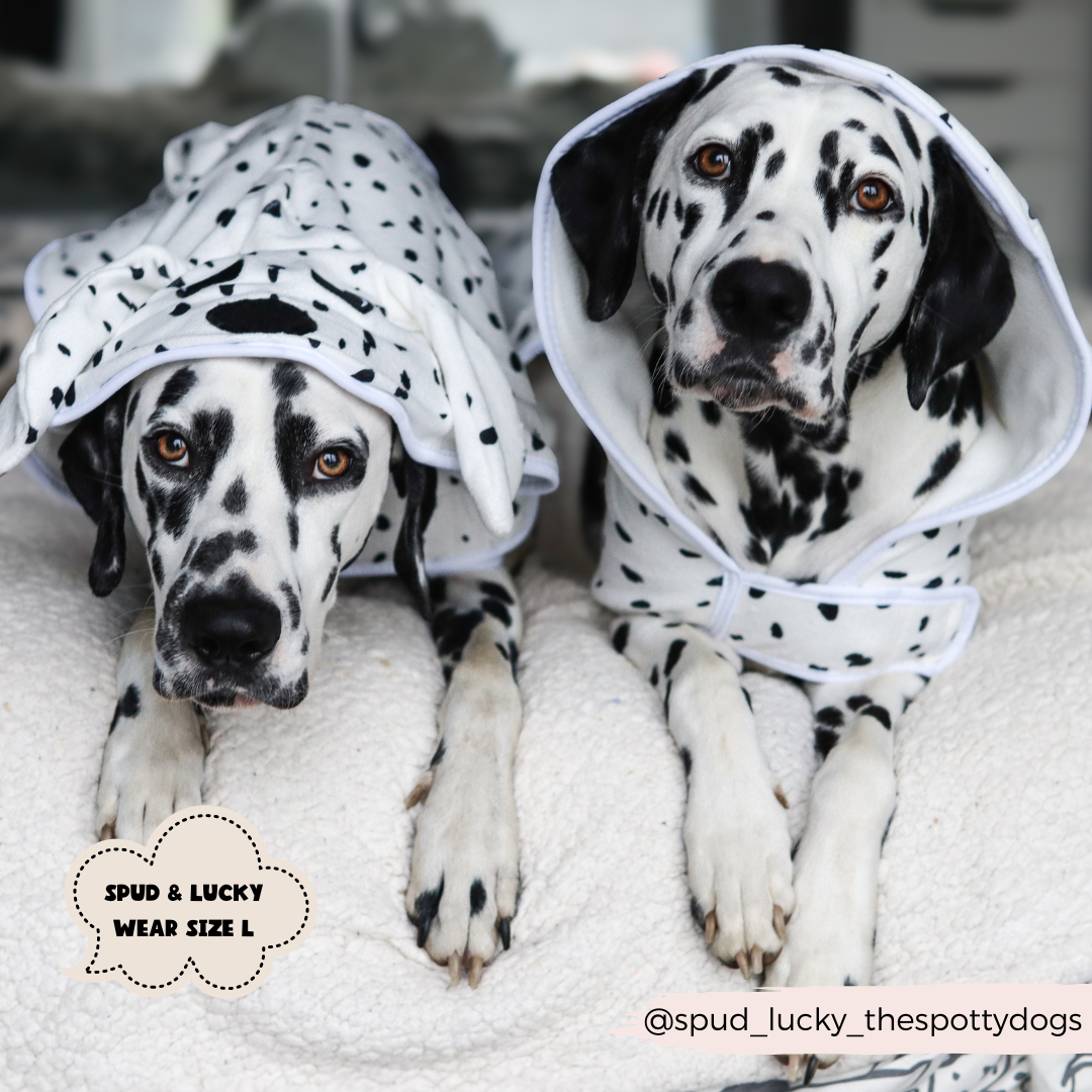 Two Dalmatian dogs are lying side by side on a white blanket, wrapped in spotty hooded Dalmatian Drying Robes by Cocopup London. A note reads "SPUD & LUCKY WEAR SIZE L," and their Instagram handle "@spud_lucky_thespottydogs" graces the bottom right corner.