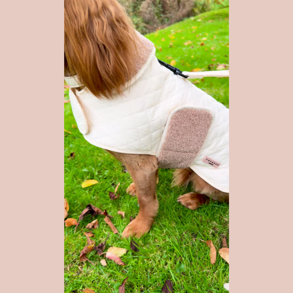 LUXE Quilted Dog Coat - Creamy Chai