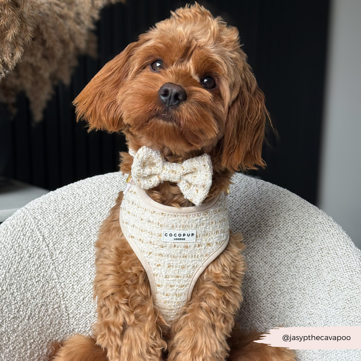 Vanilla Textured Tweed Bow Tie
