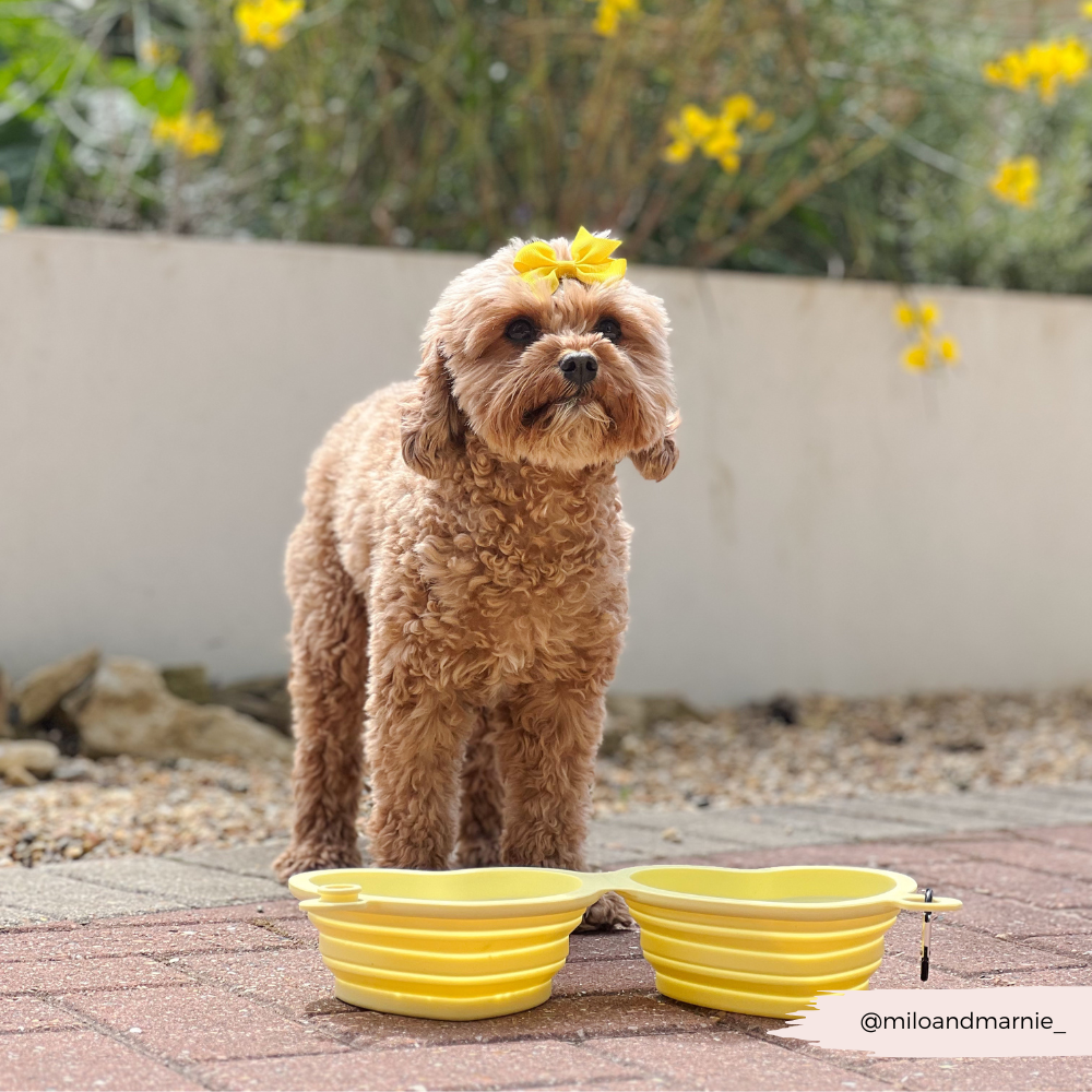 Heart Collapsible Bowl - Butter Yellow