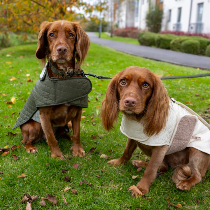 LUXE Quilted Dog Coat - Creamy Chai