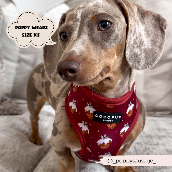 Woofmas Pudding Adjustable Neck Harness