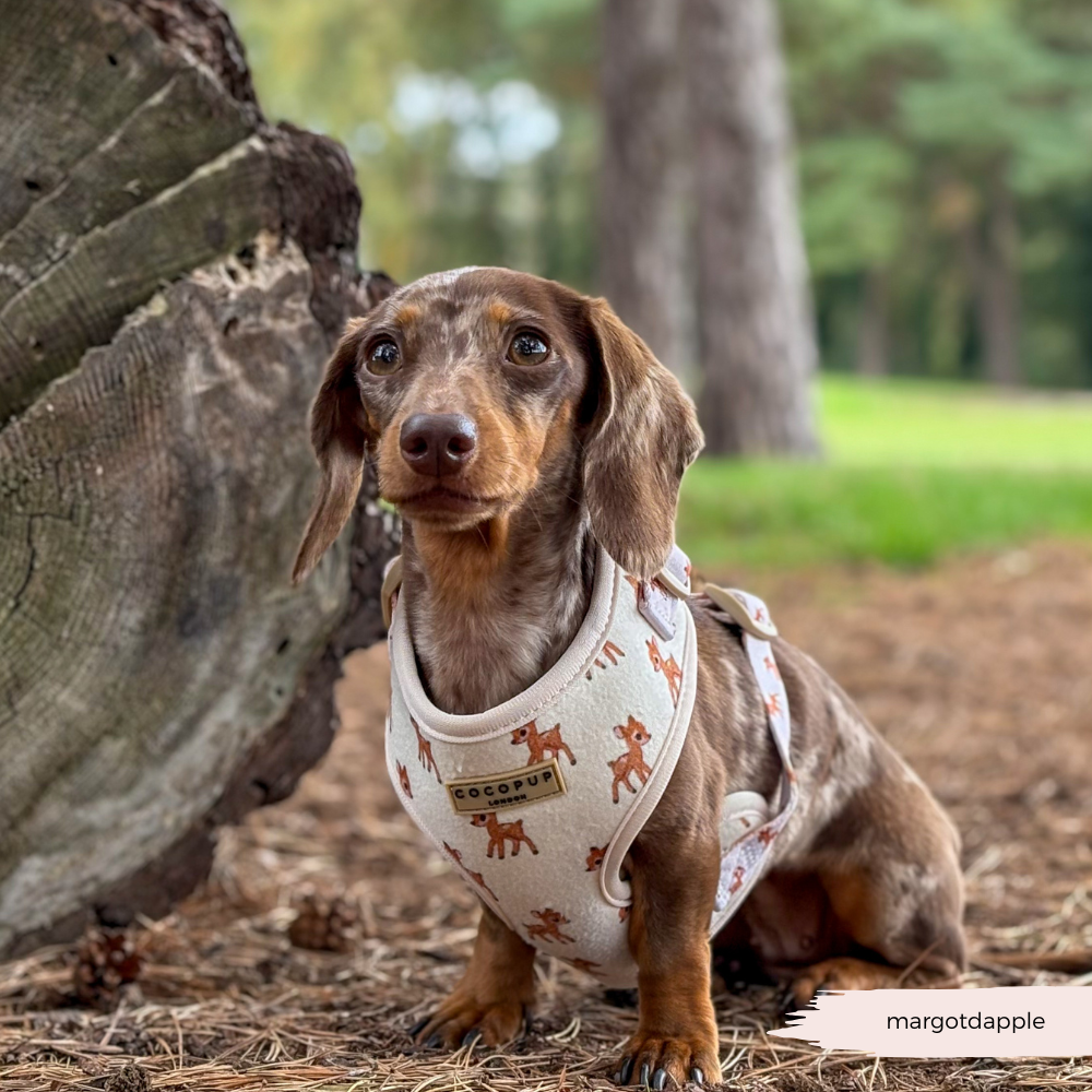 Fleecy Fawn Adjustable Neck Harness, Lead & Collar Bundle