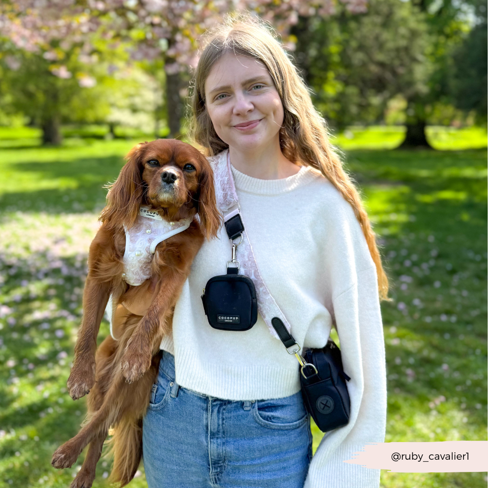 Dog Walking Black Bag Bundle - Pearly Pup