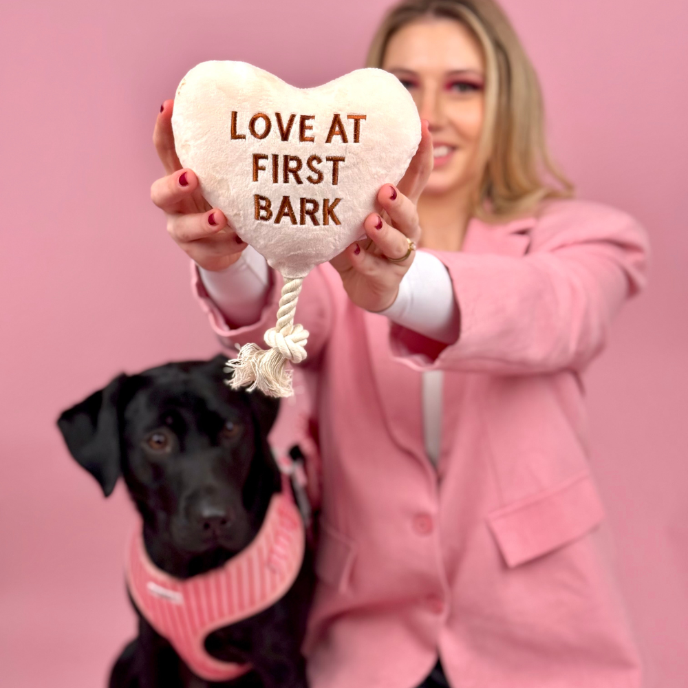 Love at First Bark Dog Toy