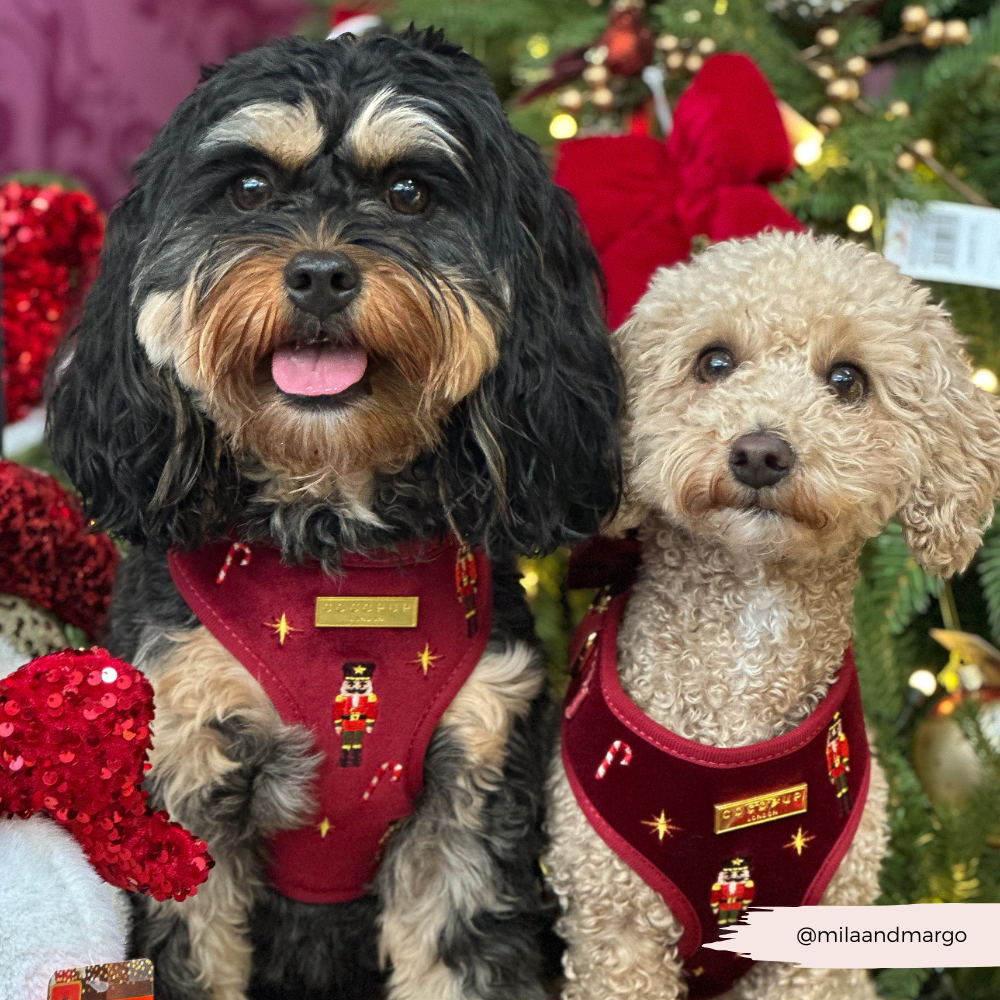 The Muttcracker Adjustable Neck HARNESS