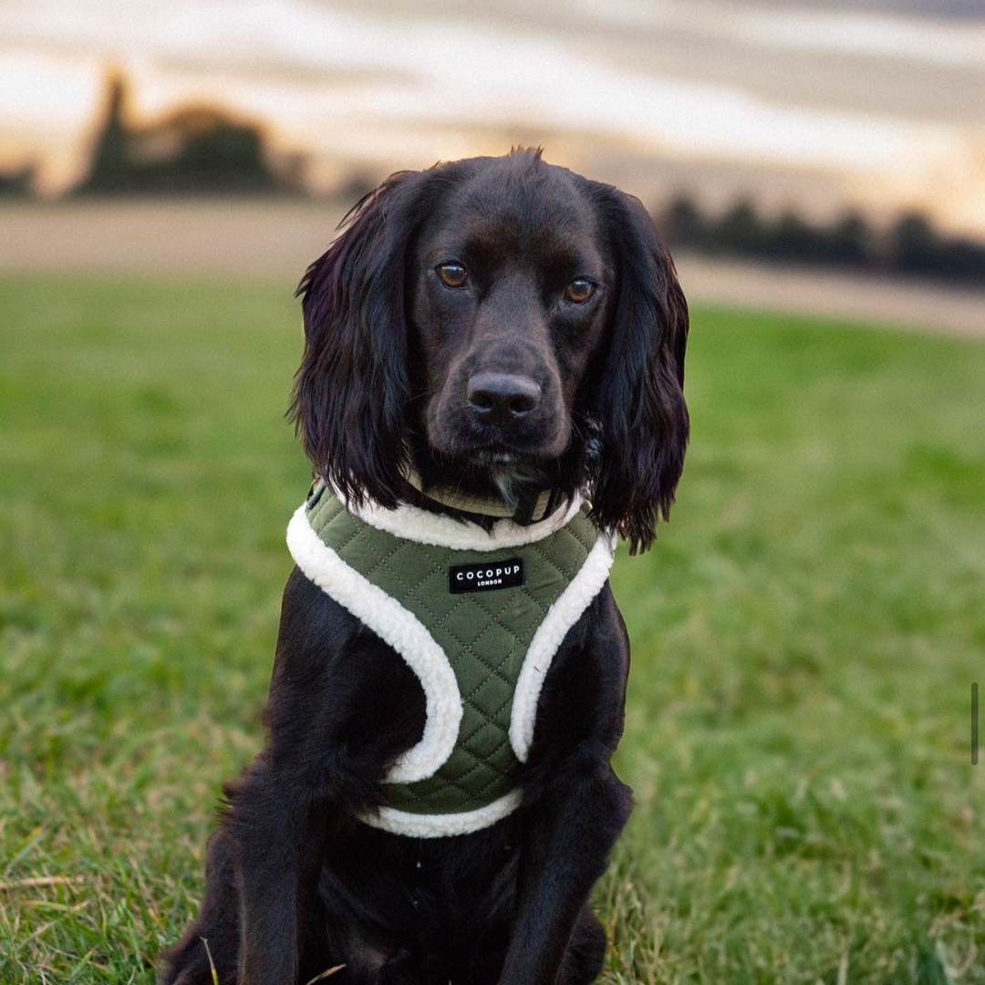 Khaki Quilted Adjustable Neck Harness