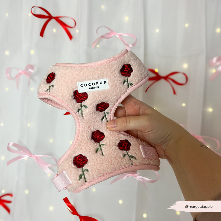 Roses Embroidered Teddy Adjustable Neck Harness