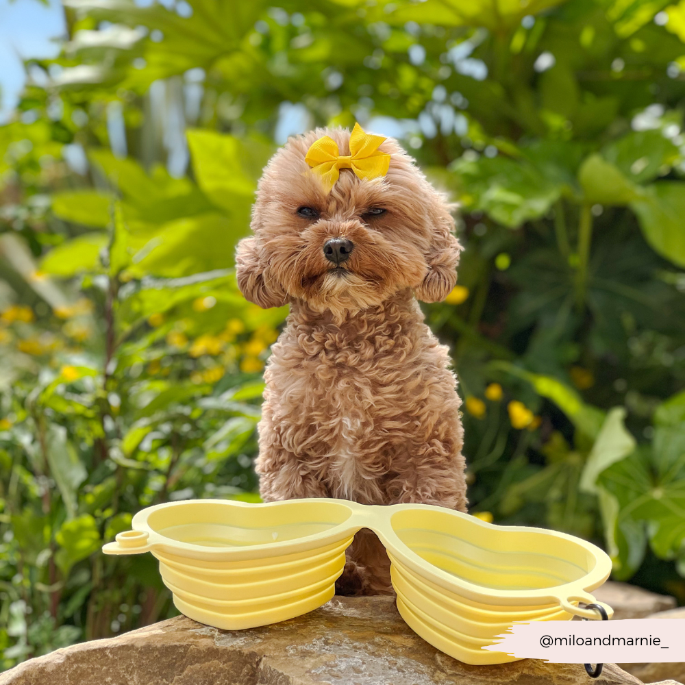 Heart Collapsible Bowl - Butter Yellow