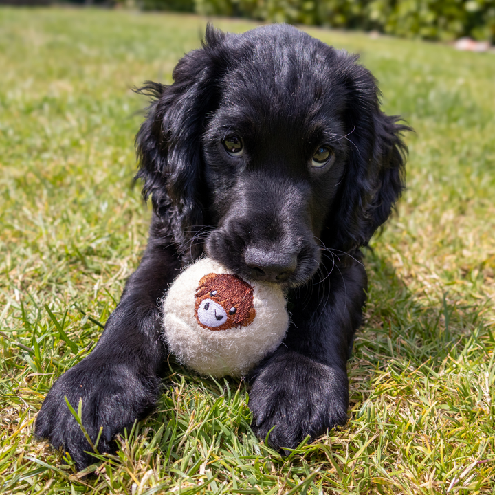 Embroidered Tennis Ball - Harold