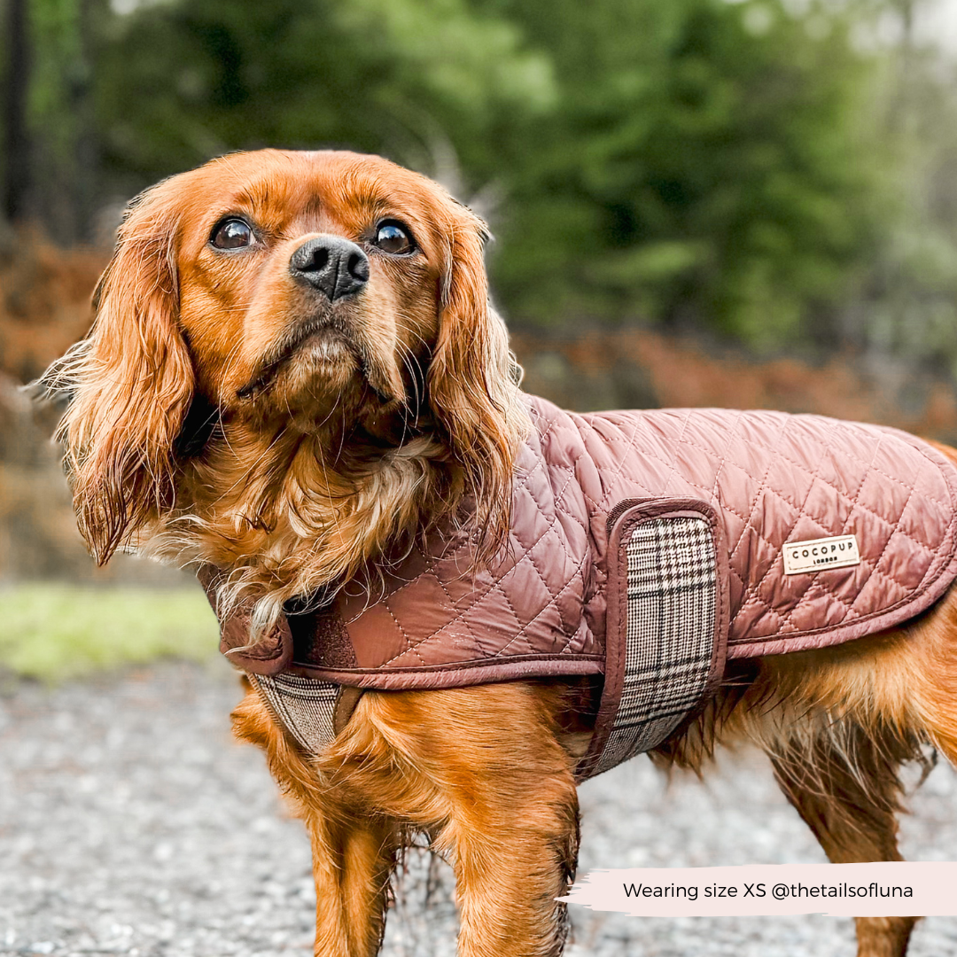 LUXE Quilted Dog Coat - Pup Plaid