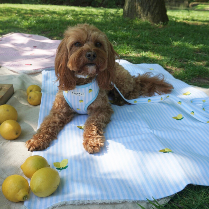 PERSONALISED Blanket - Living La Vida Lemon