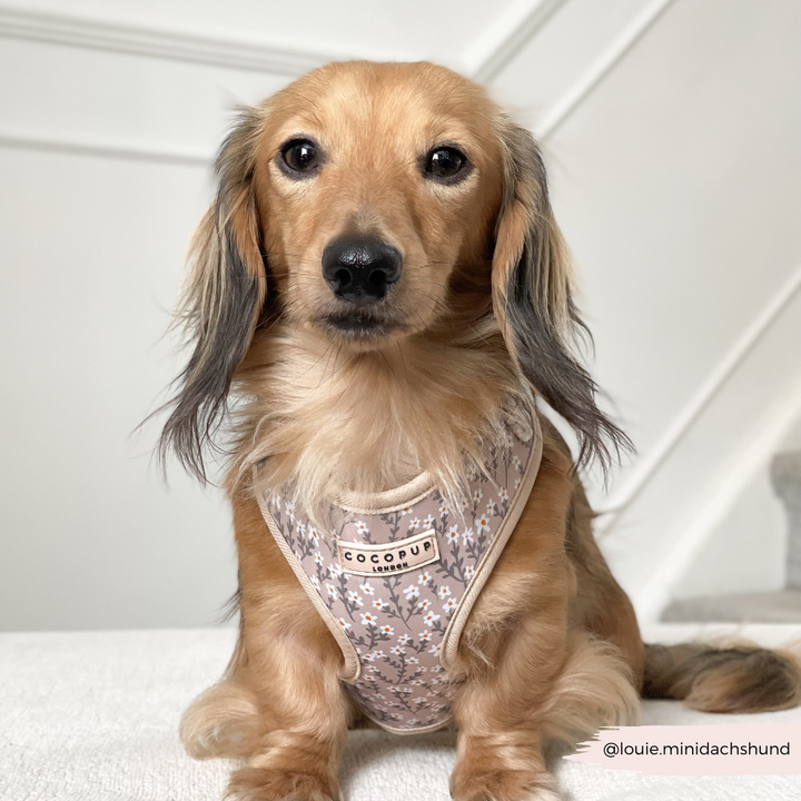 Nude Flowers Adjustable Neck HARNESS