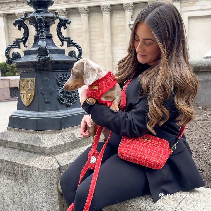 Red Textured Tweed Dog Walking Bag Bundle - Red Textured Tweed