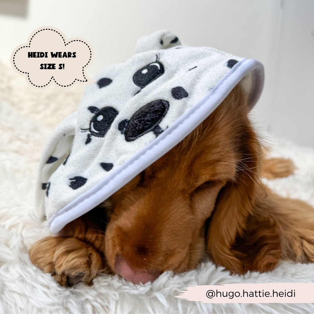 A brown puppy is lying down with its eyes closed, wearing a white hat with black spots and a print of a dog's face. The text in the image reads, "Heidi wears size S!" and "@hugo.hattie.heidi" in one corner. Perfect for pairing with our Cocopup London Dalmatian Drying Robe!