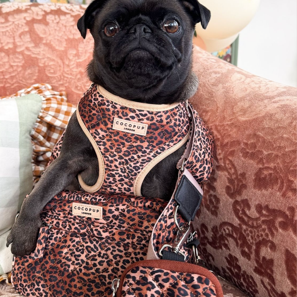 Dog Walking Bag - Quilted Leopard Pup