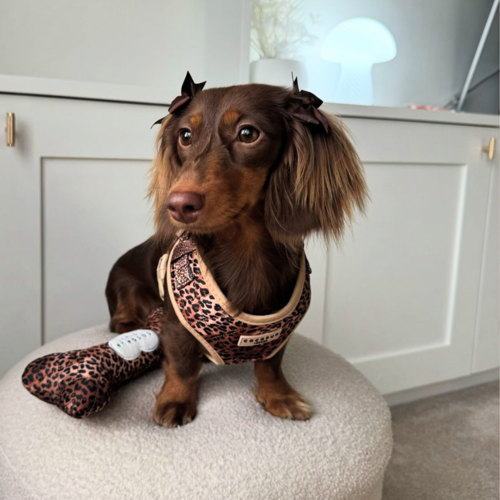 Quilted Leopard Bone Toy