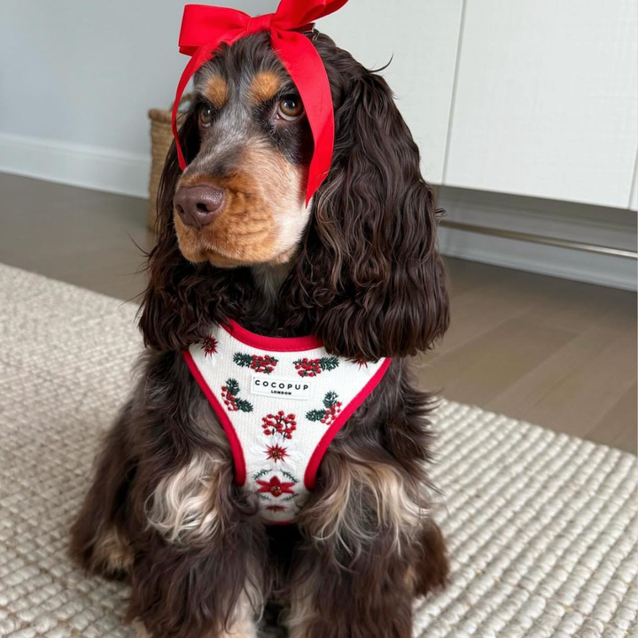 LUXE Embroidered Frosty Flower Harness