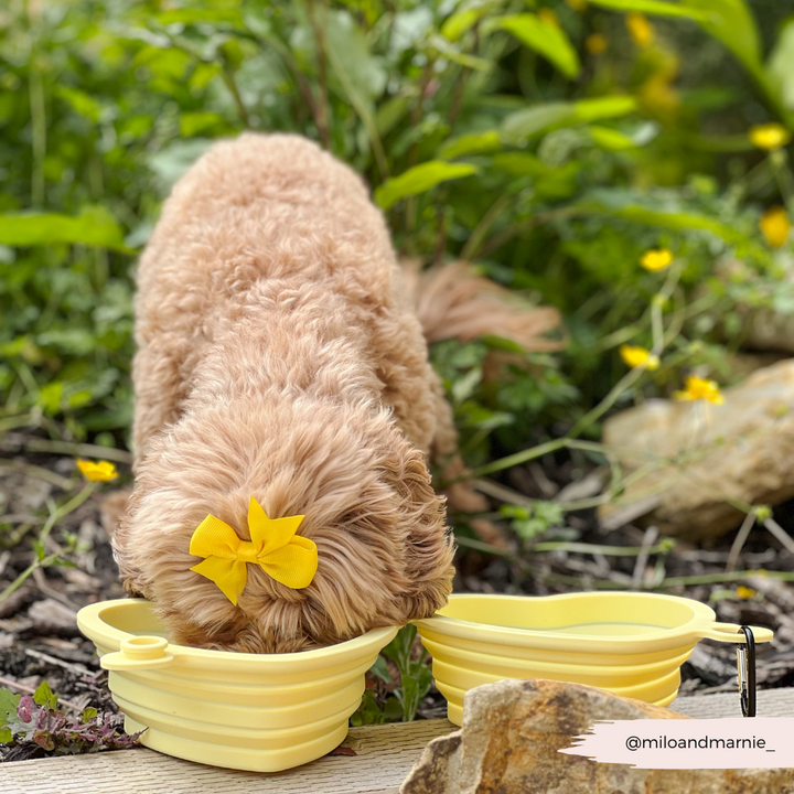Heart Collapsible Bowl - Butter Yellow