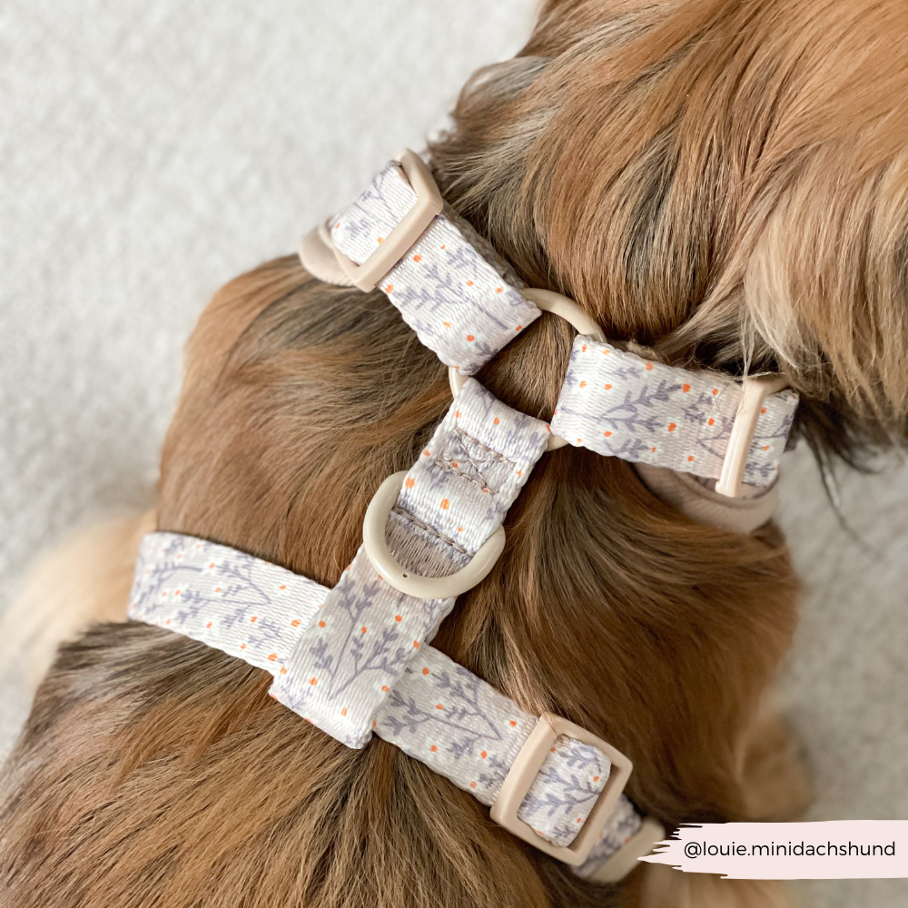 Nude Flowers Adjustable Neck HARNESS