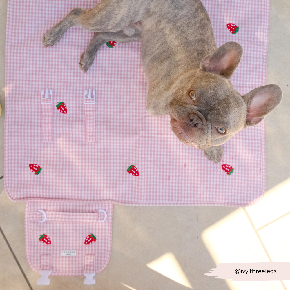 Travel Mat - Strawberry Picnic Pup
