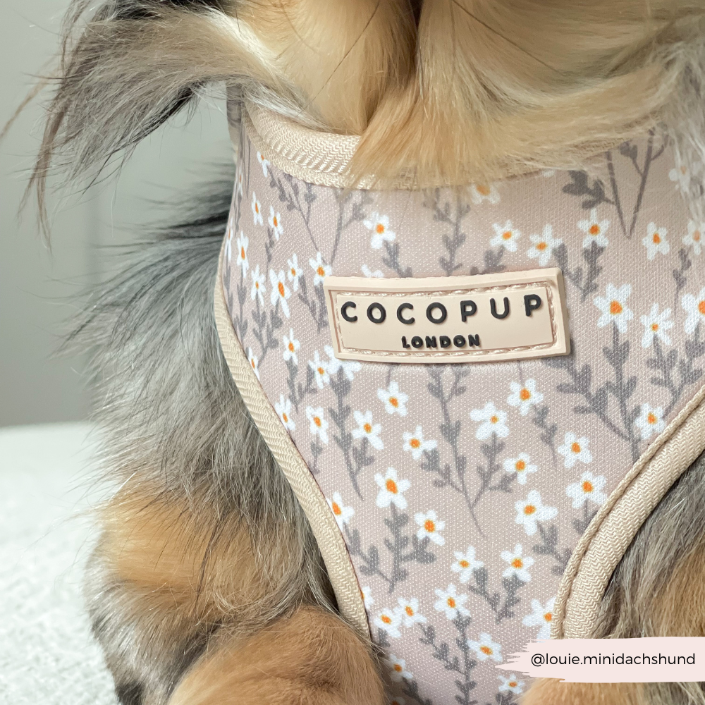 Nude Flowers Adjustable Neck HARNESS