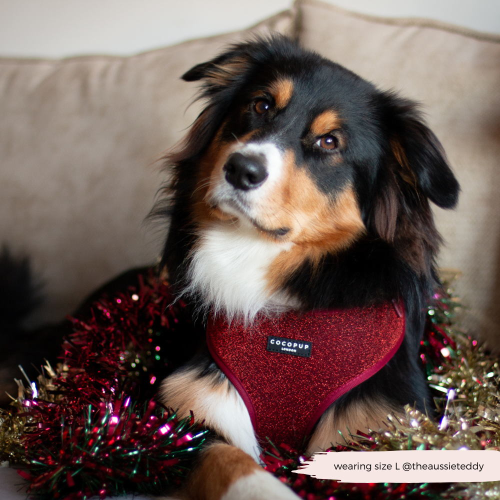 Limited Edition Burgundy Sparkle Pup Adjustable Neck Harness, Lead & Collar Bundle