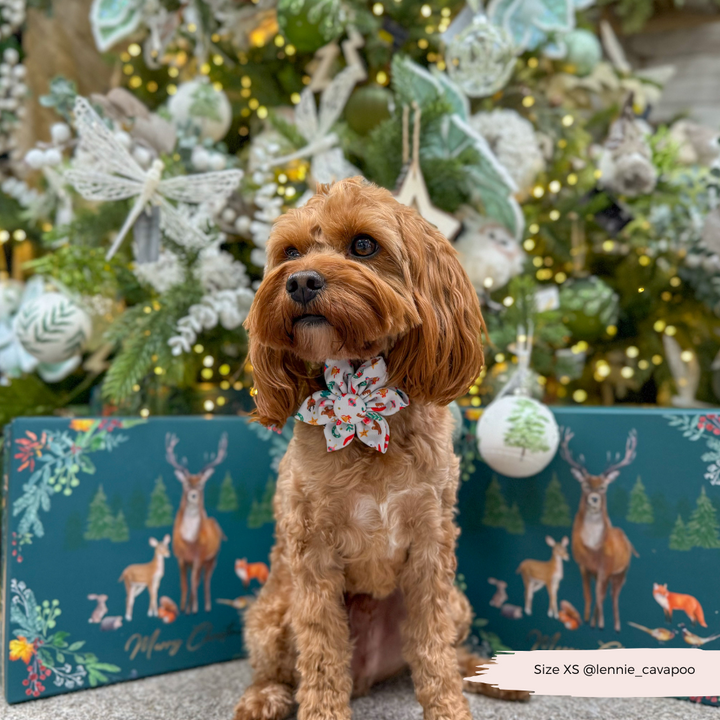 Christmas Pawty Collar Flower