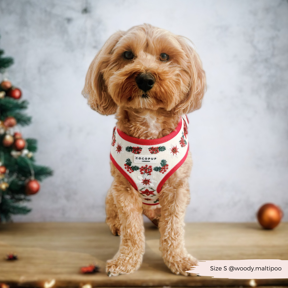 LUXE Embroidered Frosty Flower Harness