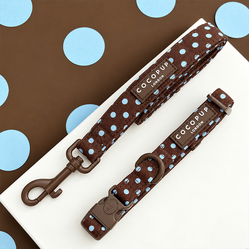 Biscotti Blue Collar & Lead Bundle